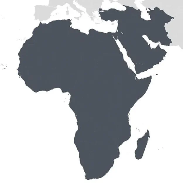 Orta Doğu ve Afrika Bölgesi